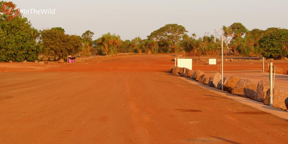 dusty road unusual places to see wildlife