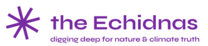 the echidnas logo