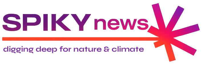 spiky news logo